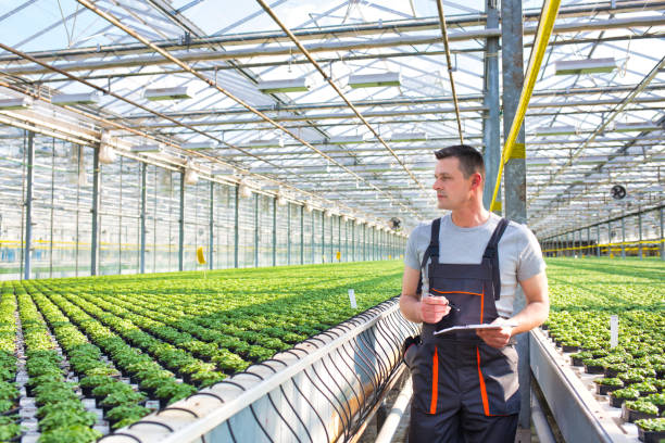 istock ale botanist examining herbs while walking in greenhouse 1167947964