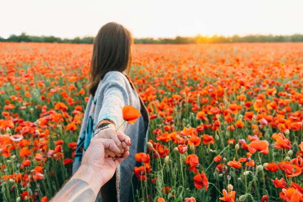 男のポンはポピー畑の女性に従う。 - field poppy single flower flower ストックフォトと画像