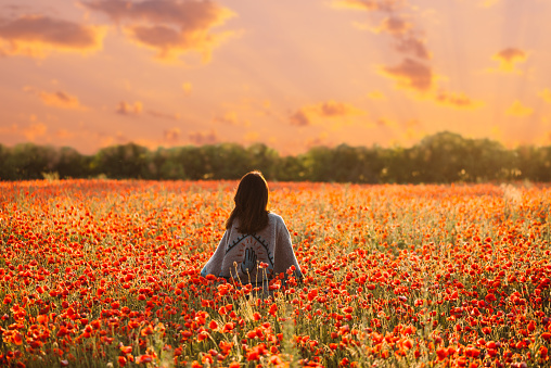 Rear view of unrecognizable woman wearing in poncho walking in red poppy flowers meadow at sunset.