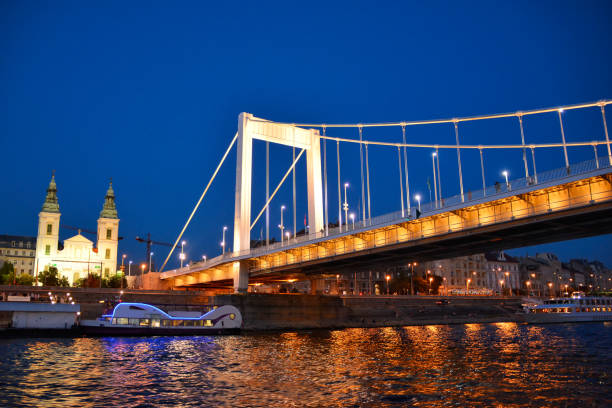 istock Elizabeth Bridge in Budapest at night, hungary 1167953129