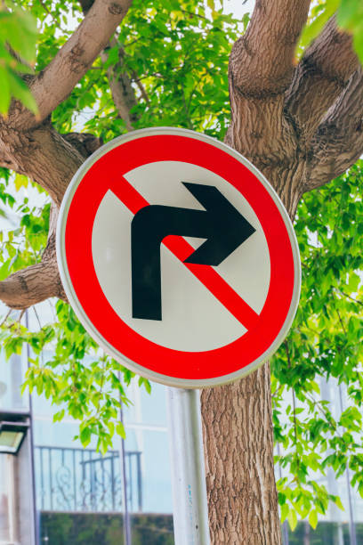 istock Green leaf with traffic sign sign prohibiting turning 1167956059