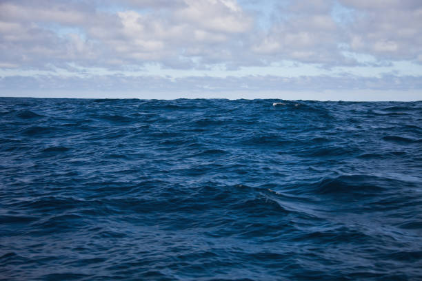 istock Waves of the Atlantic ocean and morning sky with clouds. 1167956326