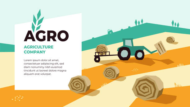 Agriculture design template Vector illustrations of agriculture with tractor, hayfield, haystack rolls,farm land,field. Icon Agro with spike of wheat. Template for banner, annual report, prints, flyer,landing page, website, blog stubble stock illustrations