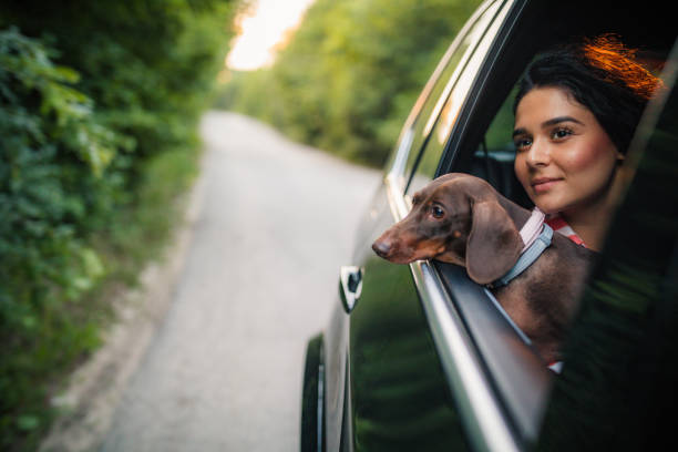 istock Beautiful woman with dog 1167958544