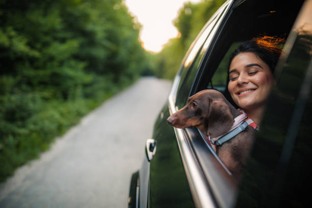 istock Beautiful woman with dog 1167958785