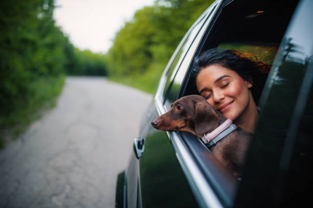 istock Beautiful woman with dog 1167959330