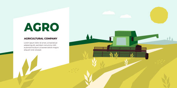 Agriculture design template with Combine Harvester Vector illustration of Agriculture with Combine Harvester working in field. Design for Agricultural Company, harvest field, farm land. Template for banner, annual report, prints, flyer, landing page, blog wheat ranch stock illustrations