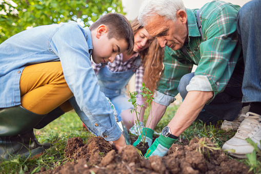 The whole family is together, hardworking in the garden.