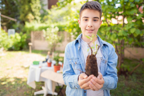 Portrait of a boy holding a seedling ready for planting it in his garden.