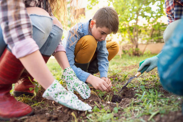 istock Everyone was given their task in the garden 1167962088