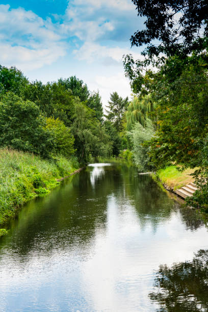 istock green trees along river Niers. Weeze, Germany 1167963245