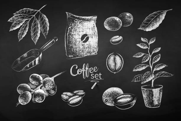 ilustracje ziaren kawy i jagód - coffee bag sack backgrounds stock illustrations