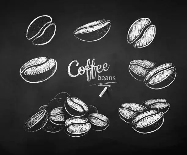 Vector illustration of Vector chalk drawn set of coffee beans