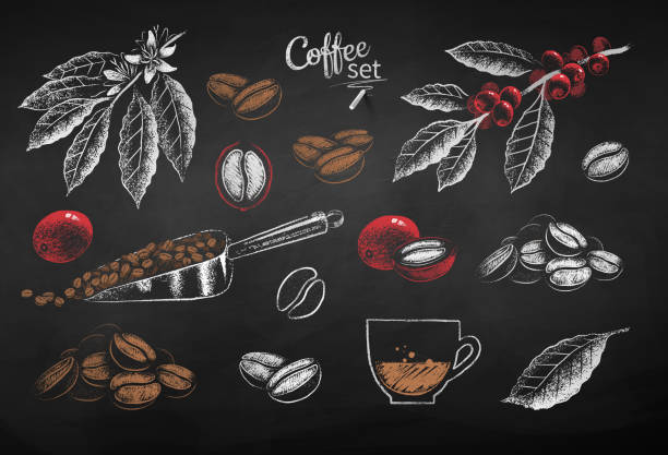 ilustraciones, imágenes clip art, dibujos animados e iconos de stock de conjunto de tiza vectorial dibujado de elementos de café - coffee bean coffee crop heap backgrounds