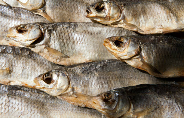 istock dried salt fish wooden background 1167967986
