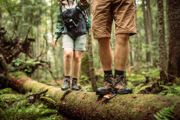 istock Hiking, walking adventures in forest on a rainy day 1167969007