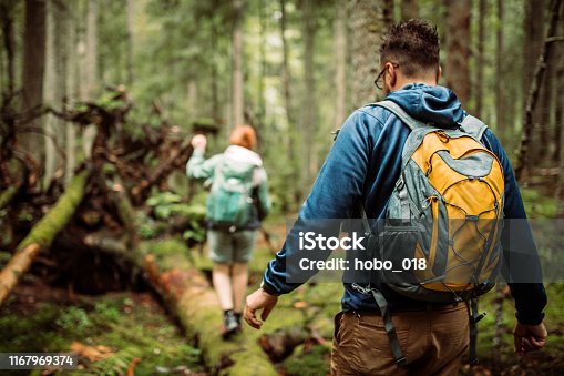 istock Forest walk and camping adventures 1167969374