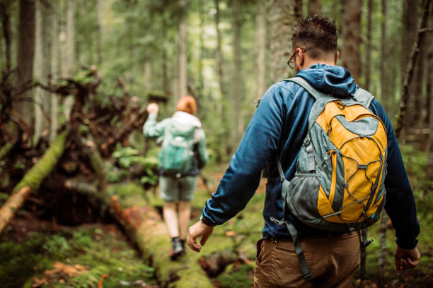 Forest walk and camping adventures Group of friends hikers in forest, walking and seaking for a good place for camping backpacker stock pictures, royalty-free photos & images