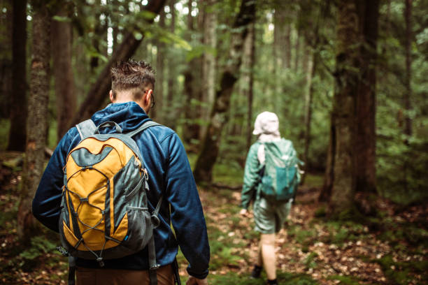 istock Hiking, walking adventures in forest on a rainy day 1167969501