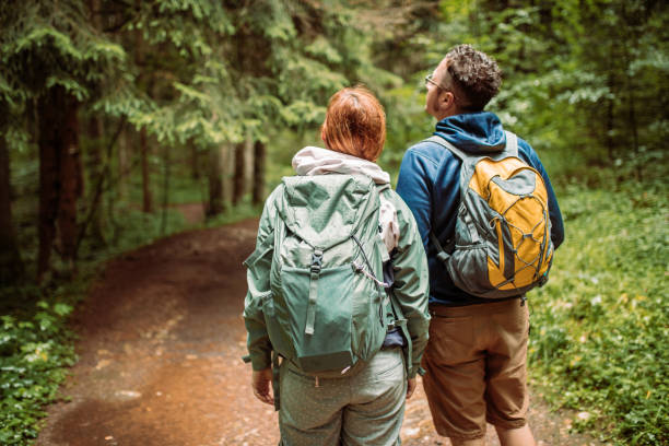 istock Forest walk on a rainy summer day 1167971140