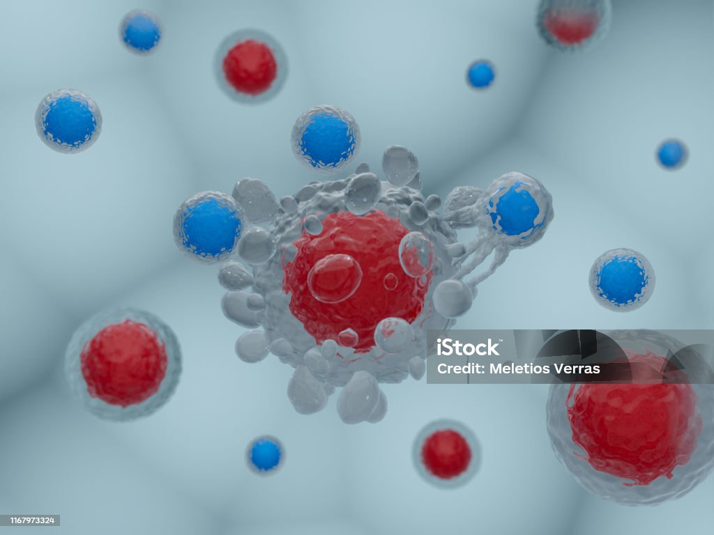 CAR T cells attacking cancer cells 3D render of CAR T cells attacking cancer cells T-Cell Stock Photo