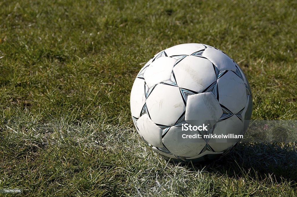 Fußball auf dem Rasen - Lizenzfrei Einzellinie Stock-Foto