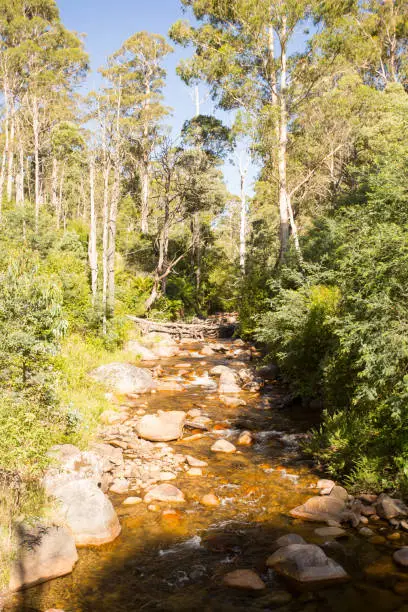 The base of the epic walking and biking track called Delatite River Trail near Mirimbah, Mt Buller in Victoria, Australia
