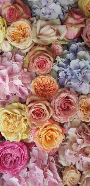 istock Background image of flowers 1167982121