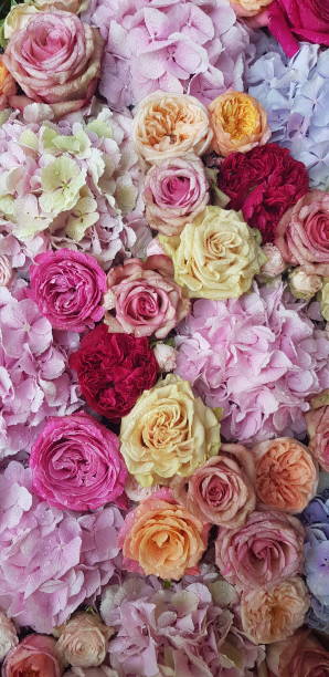 istock Background image of flowers 1167982144