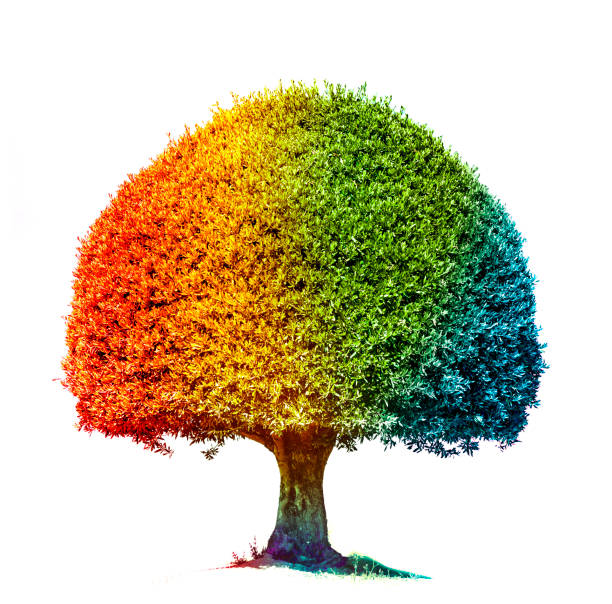 istock Colorful tree in rainbow colors isolated on white background 1167986101