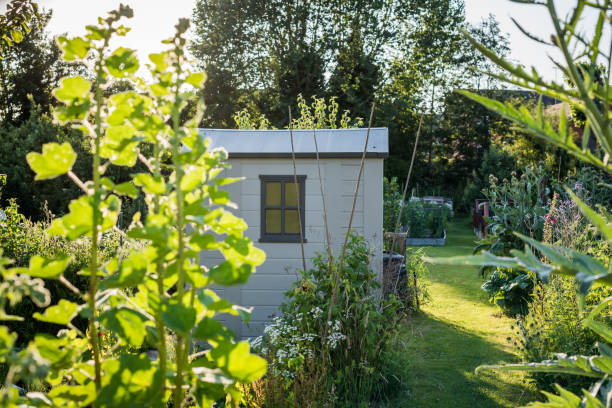 istock Allotment garden in England 1167986246