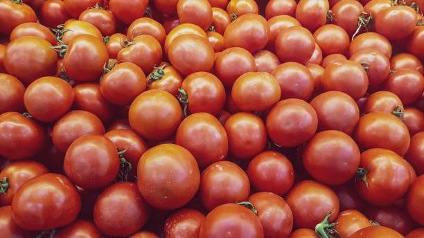 istock red ripe tomatoes background at the fruit market stand 1167986365
