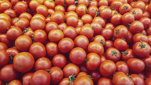 istock red ripe tomatoes background at the fruit market stand 1167986376
