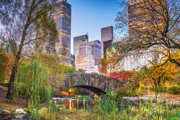 central park, new york city autunno - autumn park central park lake foto e immagini stock