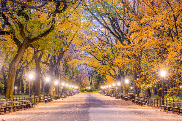 istock Central Park New York City Autumn 1167994716