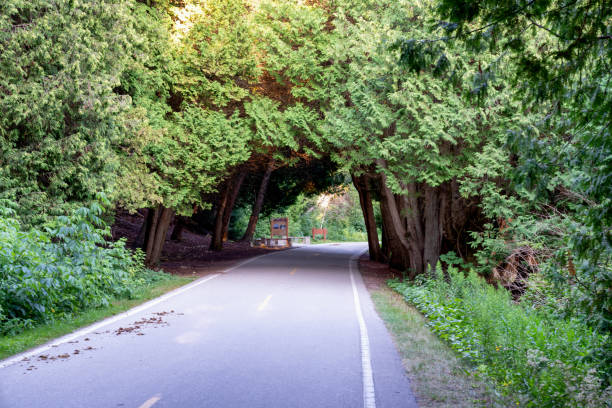 a portion of the 8 mile bike lane around mackinac island, michigan - country road winding road road michigan imagens e fotografias de stock