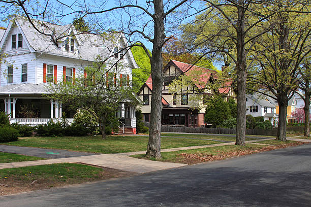 istock Suburban neighborhood 116800360