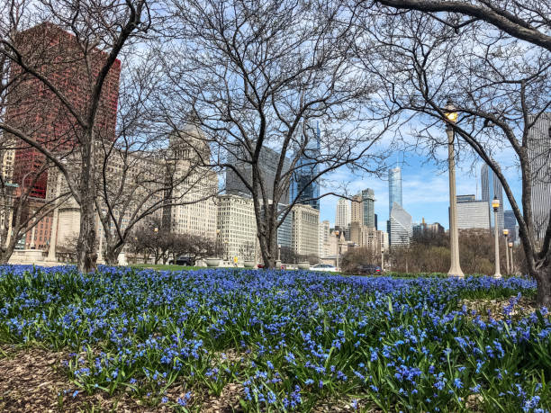 グラントパークの南大統領裁判所 - grounds city life park grant park ストックフォトと画像