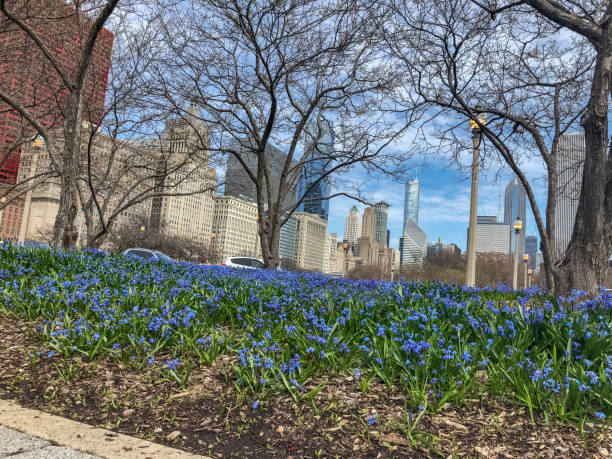 グラントパークの南大統領裁判所 - grounds city life park grant park ストックフォトと画像