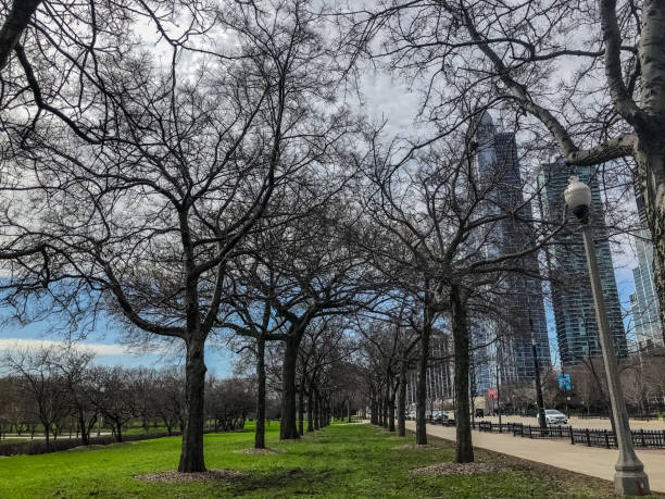 tribunal del presidente del sur - chicago - grounds city life park grant park fotografías e imágenes de stock