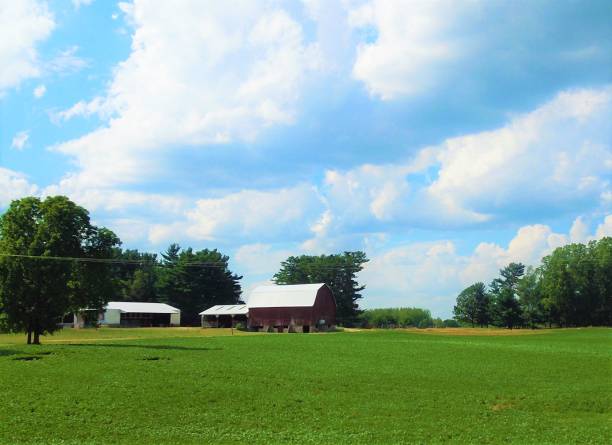 istock Working Farm in West Michigan 1168008755