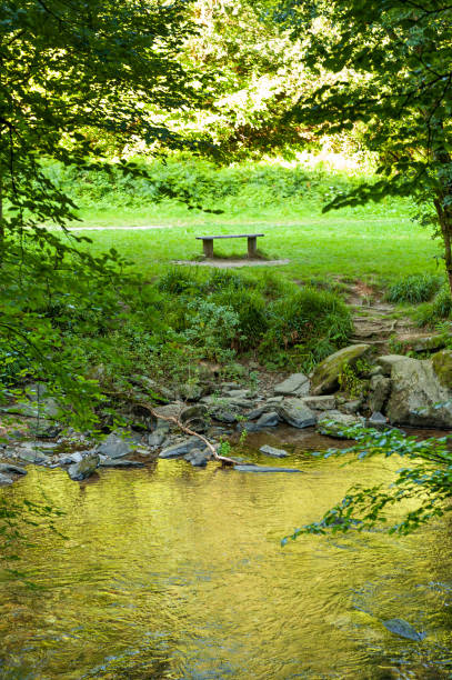 istock Bench along the river in Tarr Steps Woodland 1168009791