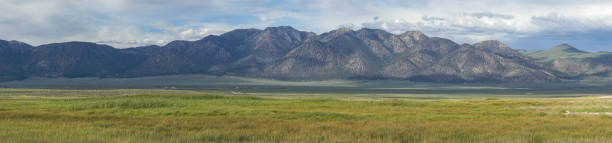 Panoramic view of green arid wetland with mountain range on the background during clouded summer