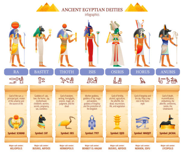 ilustrações de stock, clip art, desenhos animados e ícones de ancient egyptian god goddess infographic table. amun ra, bastet, isis, osiris, thoth, horus, anubis. religious symbols. scarab, cat, ibis, eye, jackal. vector illustration isolated white background - cultura egípcia