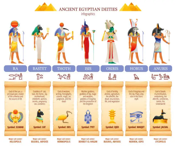 Vector illustration of Ancient Egyptian god goddess infographic table. Amun Ra, Bastet, Isis, Osiris, Thoth, Horus, Anubis. Religious symbols. Scarab, cat, ibis, eye, jackal. Vector illustration isolated white background