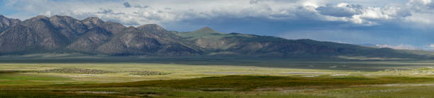 istock Panoramic view of green arid wetland with mountain range on the background during clouded summer 1168016391