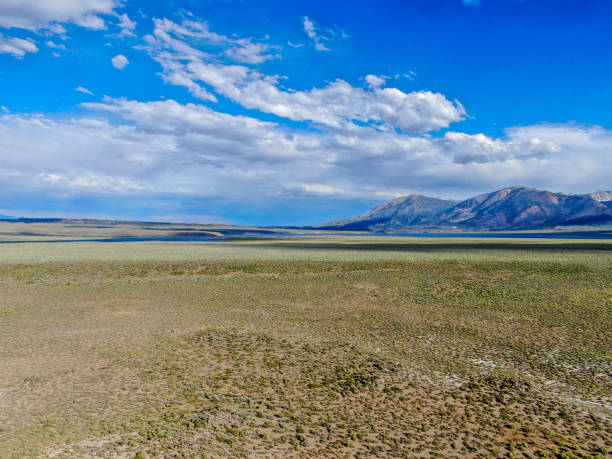曇った夏の間に背景に山脈を持つ緑の乾燥した湿地の航空写真 - nevada usa desert arid climate ストックフォトと画像