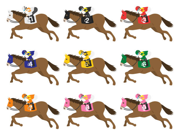 Horse Horse jockey stock illustrations