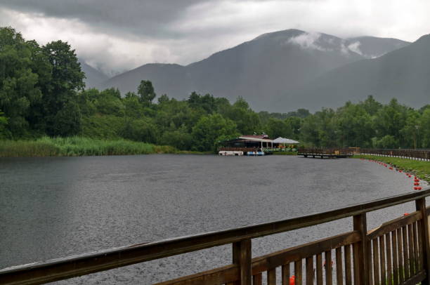 Park Rila by rainy day