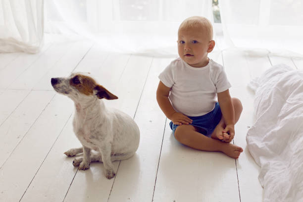 bambino in una maglietta bianca e pantaloncini sedersi a casa con il cane - dog baby t shirt child foto e immagini stock